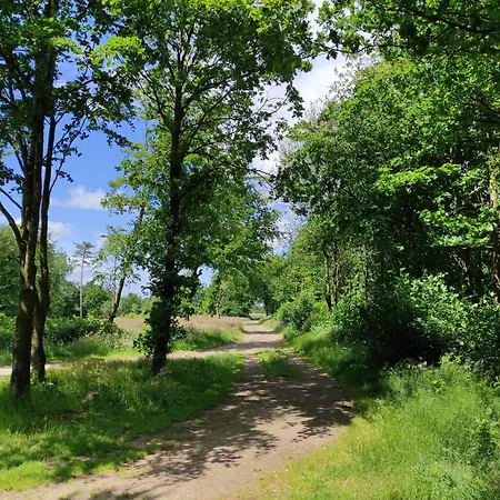 Emily's Garden Bed & Breakfast 3*