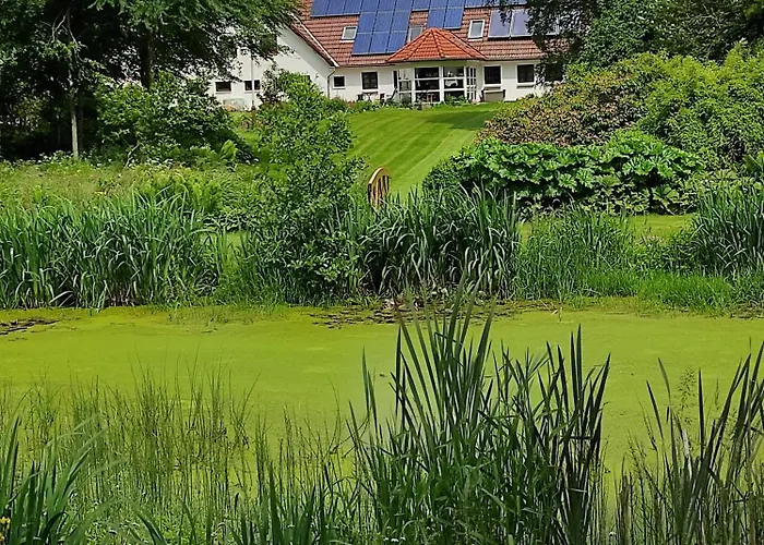 Alojamento de Acomodação e Pequeno-almoço Emily's Garden